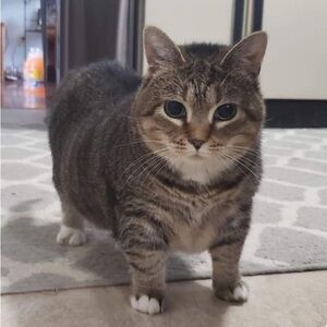 Meet your Posher, Yanyi 💗